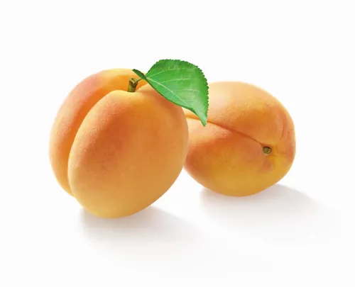 Two ripe apricots with a green leaf on white background by Tom Ungemach