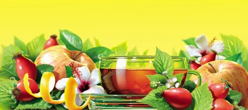 Colorful fresh fruits and tea cup arranged with herbs by Tom Ungemach