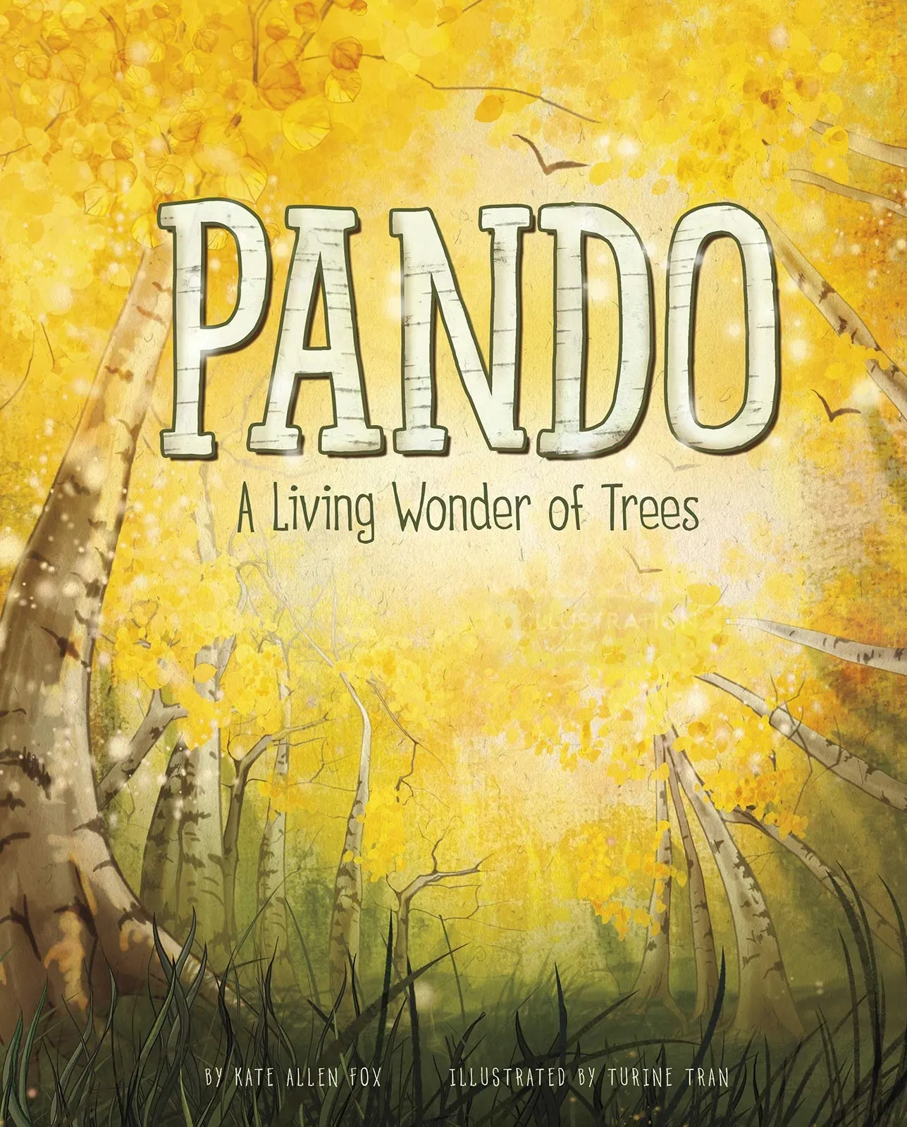 Book cover illustration with golden trees and title Pando by Turine Tran