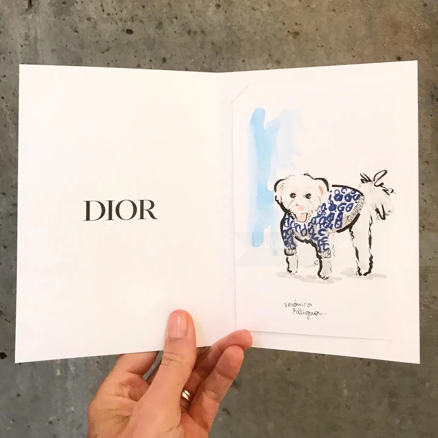 Illustration of a small dog in a Dior outfit by Veronica Collignon