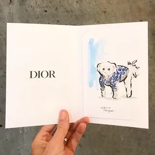 Illustration of a small dog in a Dior outfit by Veronica Collignon