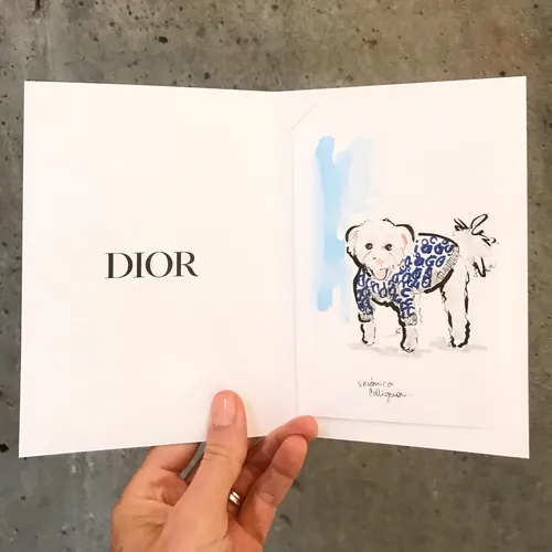 Illustration of a small dog in a Dior outfit by Veronica Collignon