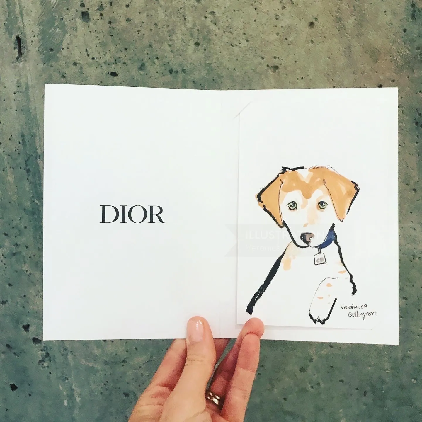Hand holding Dior card with dog illustration by Veronica Collignon