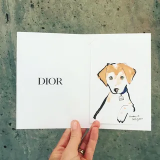 Hand holding Dior card with dog illustration by Veronica Collignon