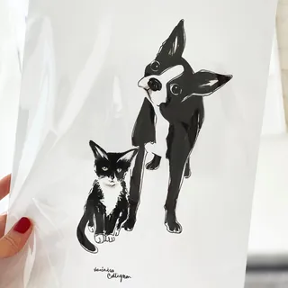 Black and white dog and cat illustration by Veronica Collignon