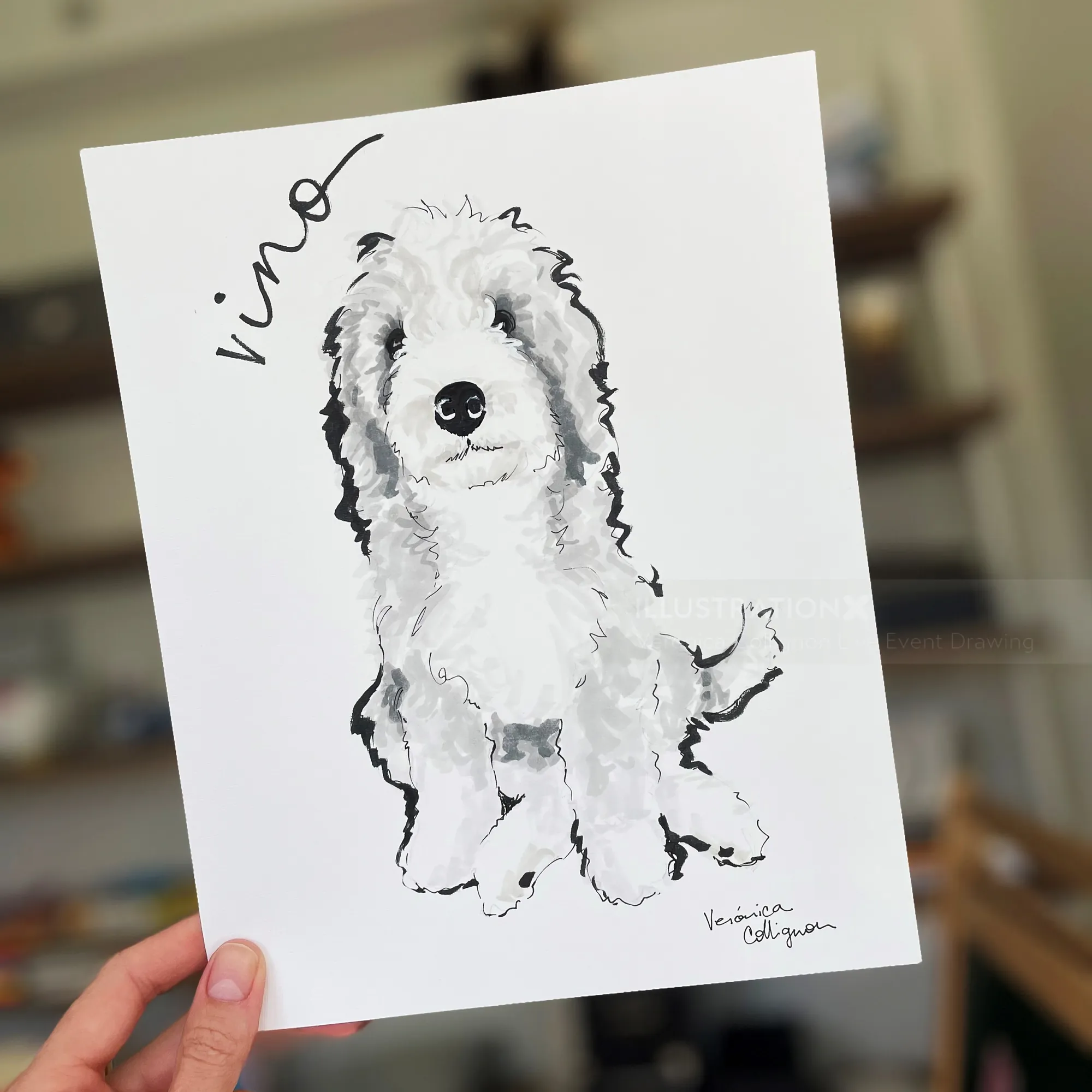 Dessin à l'encre d'un chien duveteux assis, par Veronica Collignon