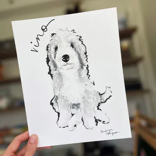 Ink drawing of a fluffy dog sitting, by Veronica Collignon