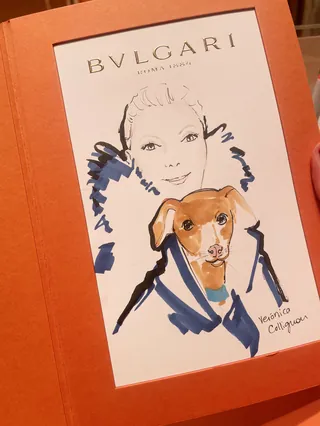 Illustration of a person and a dog for Bvlgari jewelry