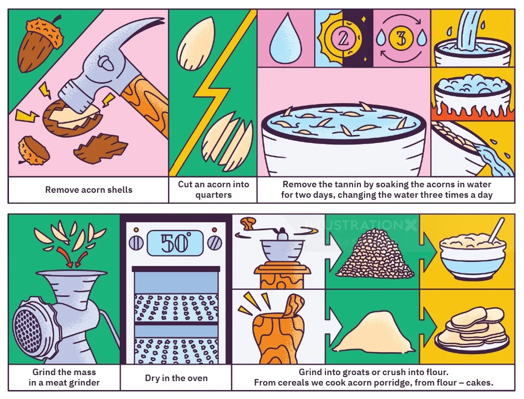 Step-by-step guide to making oak porridge by Veronika Kiriyenko