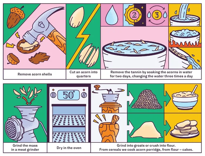 Step-by-step guide to making oak porridge by Veronika Kiriyenko