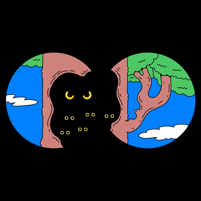 View through binoculars showing dark owl in tree at night
