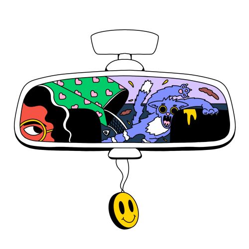 Rearview mirror reflection showing a cat and a driver with a smiley air freshener