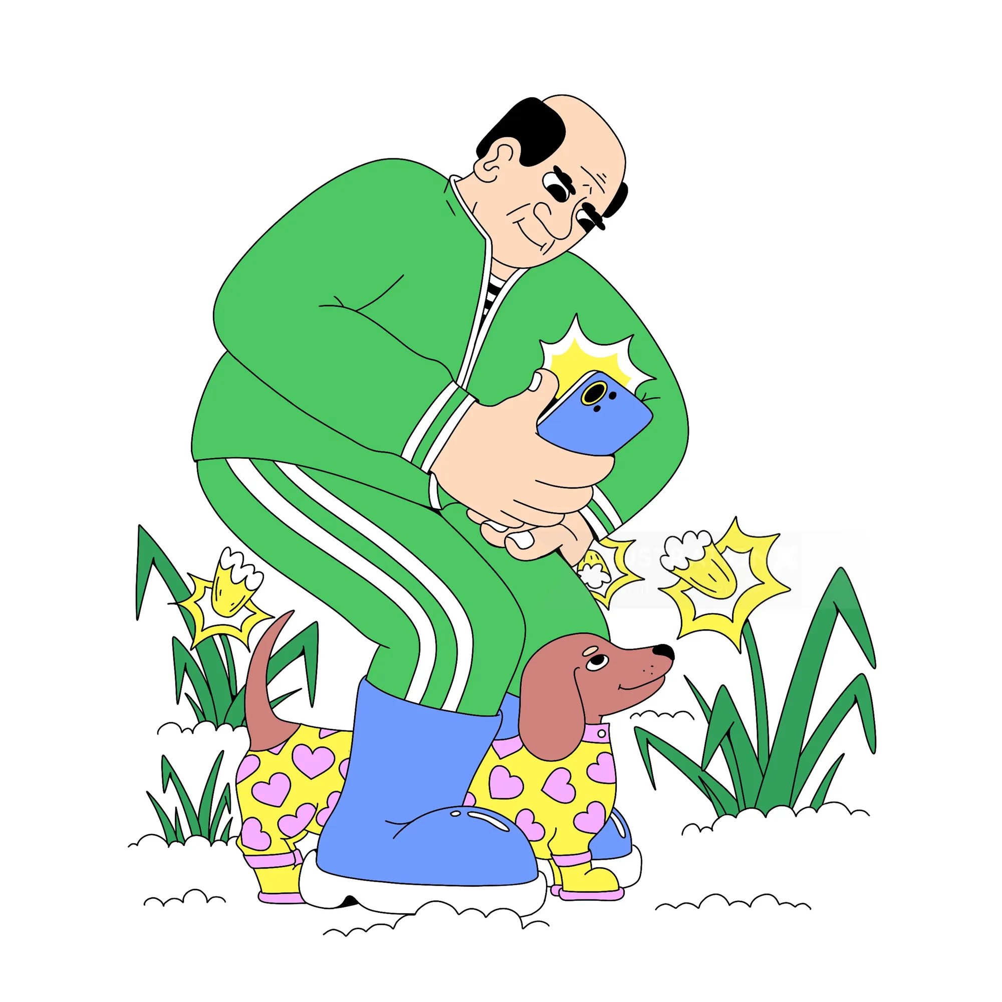 Man in green tracksuit taking photo of dachshund in patterned rain boots by daffodils by Veronika Ki