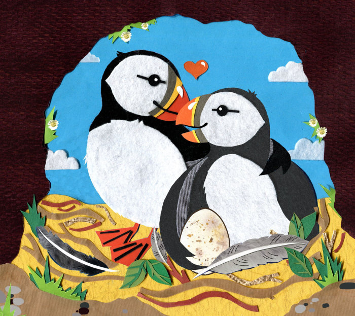 Portraying a newborn puffin's growth