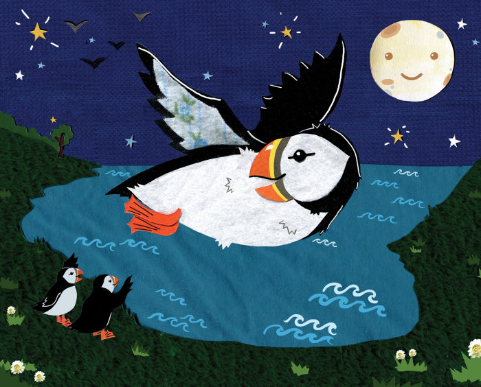 Depicting a newborn puffin's growth
