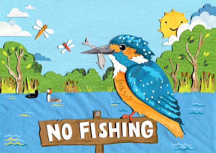 Illustration of kingfisher fishing