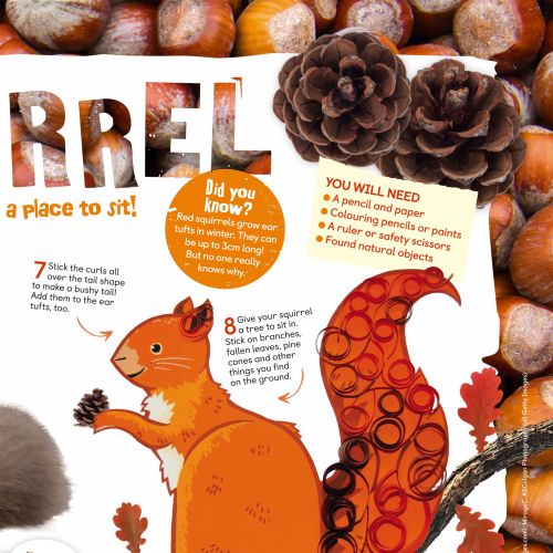 RSPB's children's magazine contains a red squirrel drawing tutorial