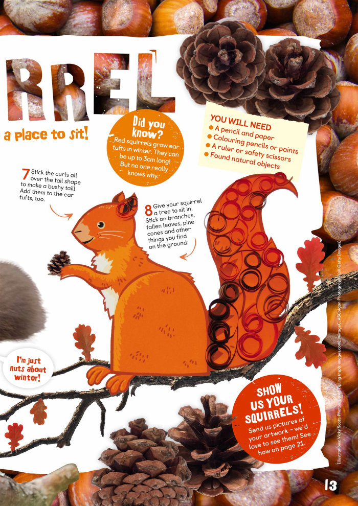 A revista infantil da RSPB contém um tutorial de desenho de esquilo vermelho