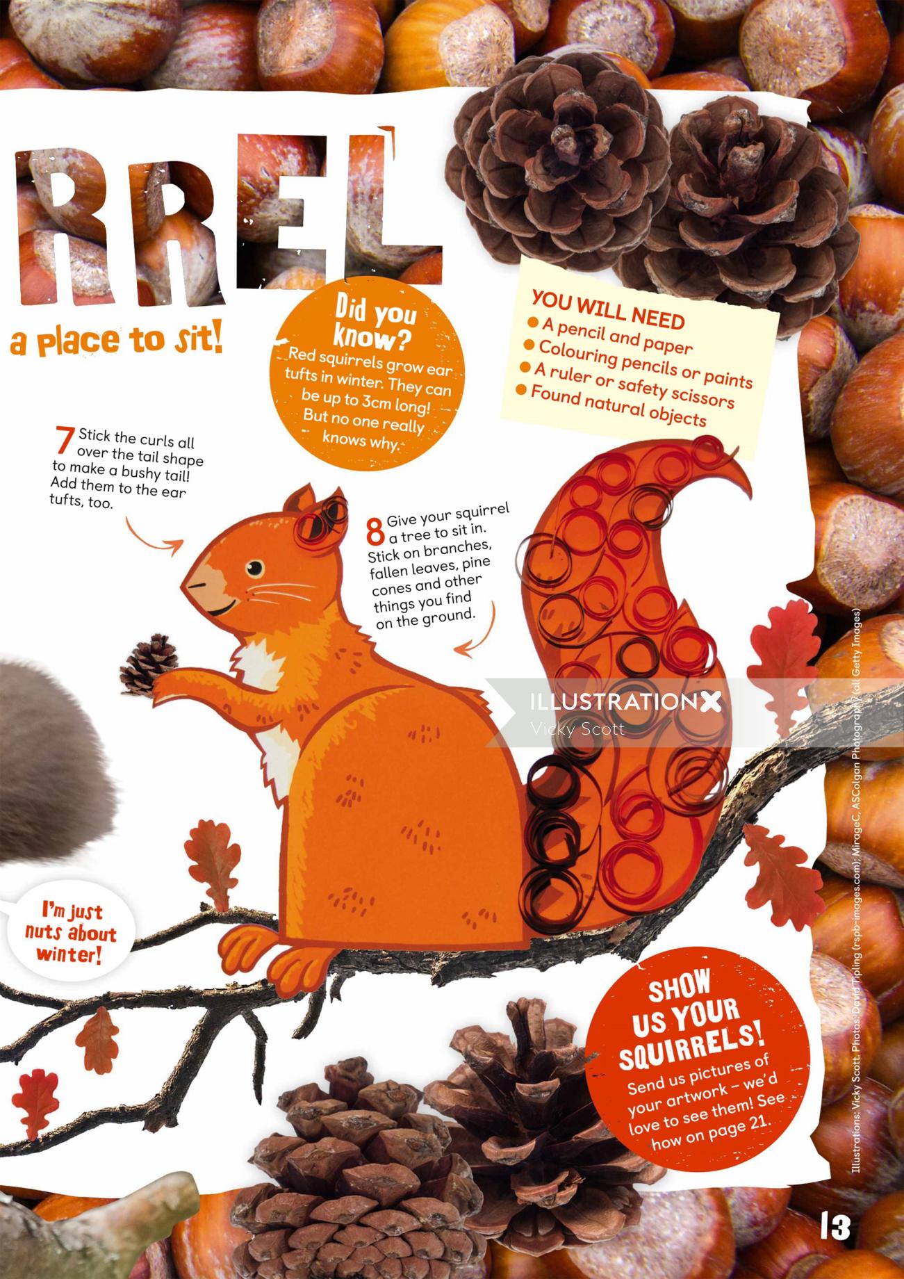 red squirrel, autumn, leaves, pine cones, how to draw