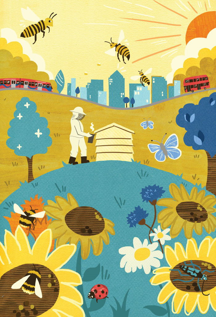 Editorial illustration conveying bees and beekeeping