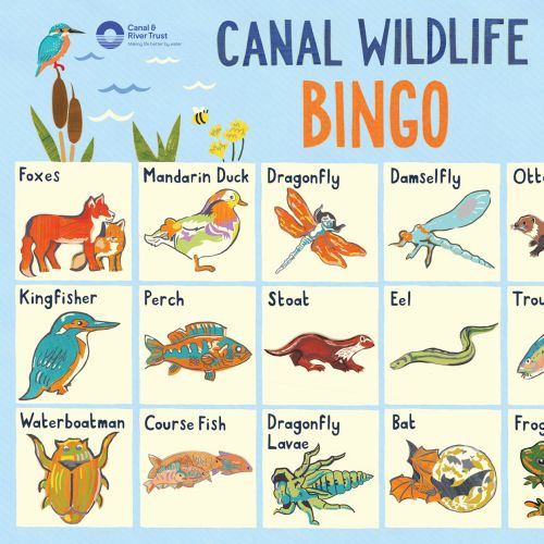 Wildlife illustration for the Canal & River trust is wildlife Bingo