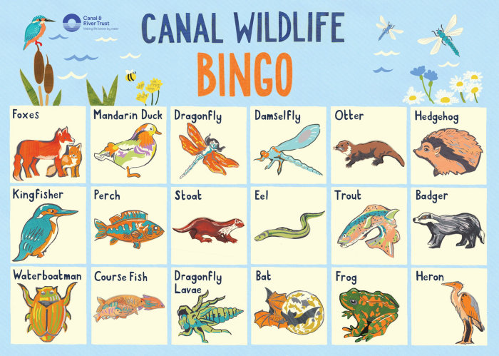 Wildlife illustration for the Canal & River trust is wildlife Bingo