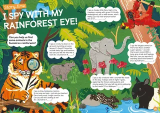 Collage of exotic animals from the Sumatran rainforest