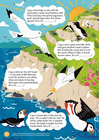 Illustration of seabirds on cliffs with speech bubbles