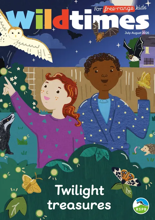 Vicky Scott illustration of children camping among nighttime wildlife