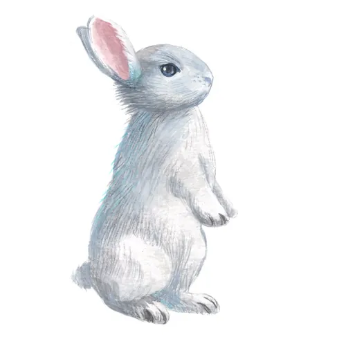 Illustration of a white rabbit standing upright with pink ears