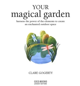 Illustration of a pond with dragonflies and plants for magical garden book