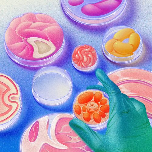 Illustration for Mold magazine's editorial on food technology