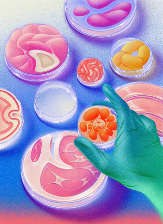 Illustration pour l'éditorial du magazine Mold sur la technologie alimentaire