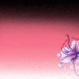 ユリの花のプロモーションGIF