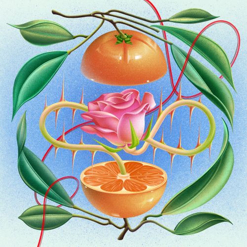 Wenjing Yang artwork of orange fruit, pink flower, vines, and green leaves