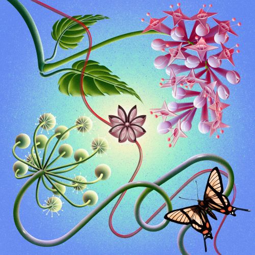 Botanical vines, blossoms, seed heads, and butterfly by Wenjing Yang
