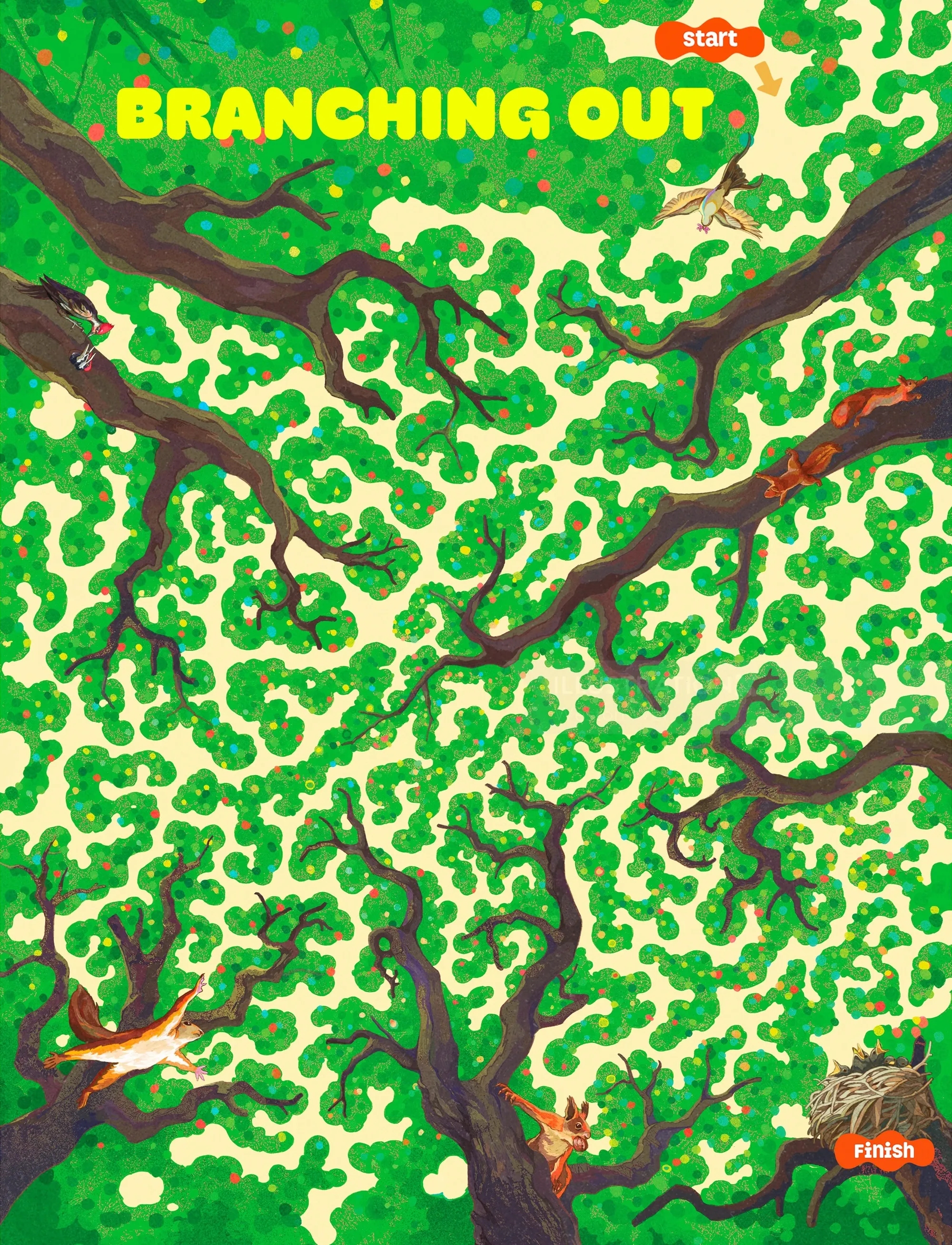 Tree canopy maze adventure in Highlights for Children