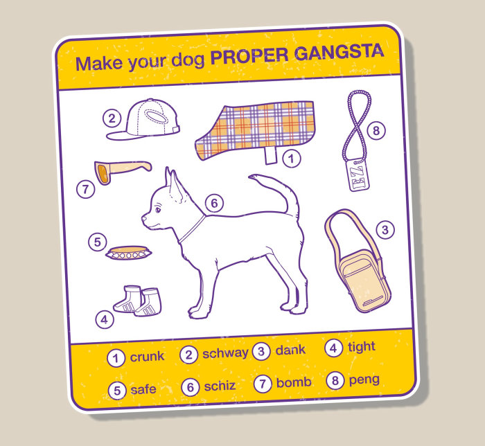Info-graphic diagram about dog essentials