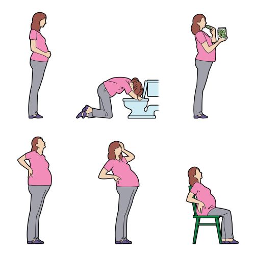 Six Stages of Pregnancy