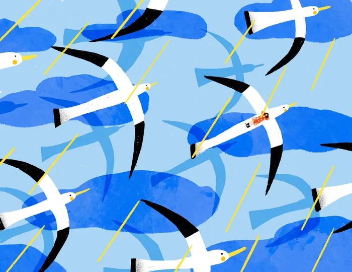 Seagulls flying above rain and blue clouds in a stylized illustration