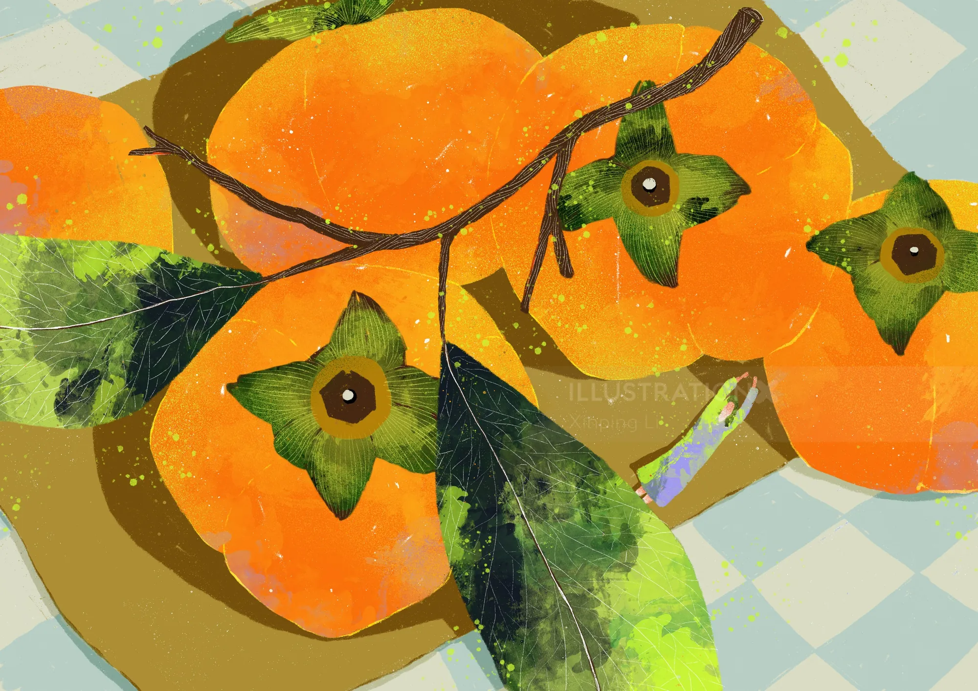 Illustration of ripe orange persimmons with green leaves on checkered background