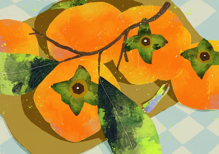 Illustration of ripe orange persimmons with green leaves on checkered background