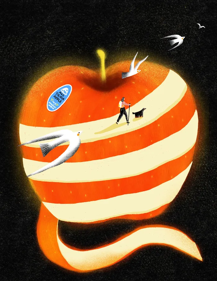 Giant striped apple with person walking dog and flying birds