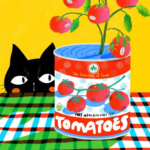 Black cat peeking at tomatoes growing from a can