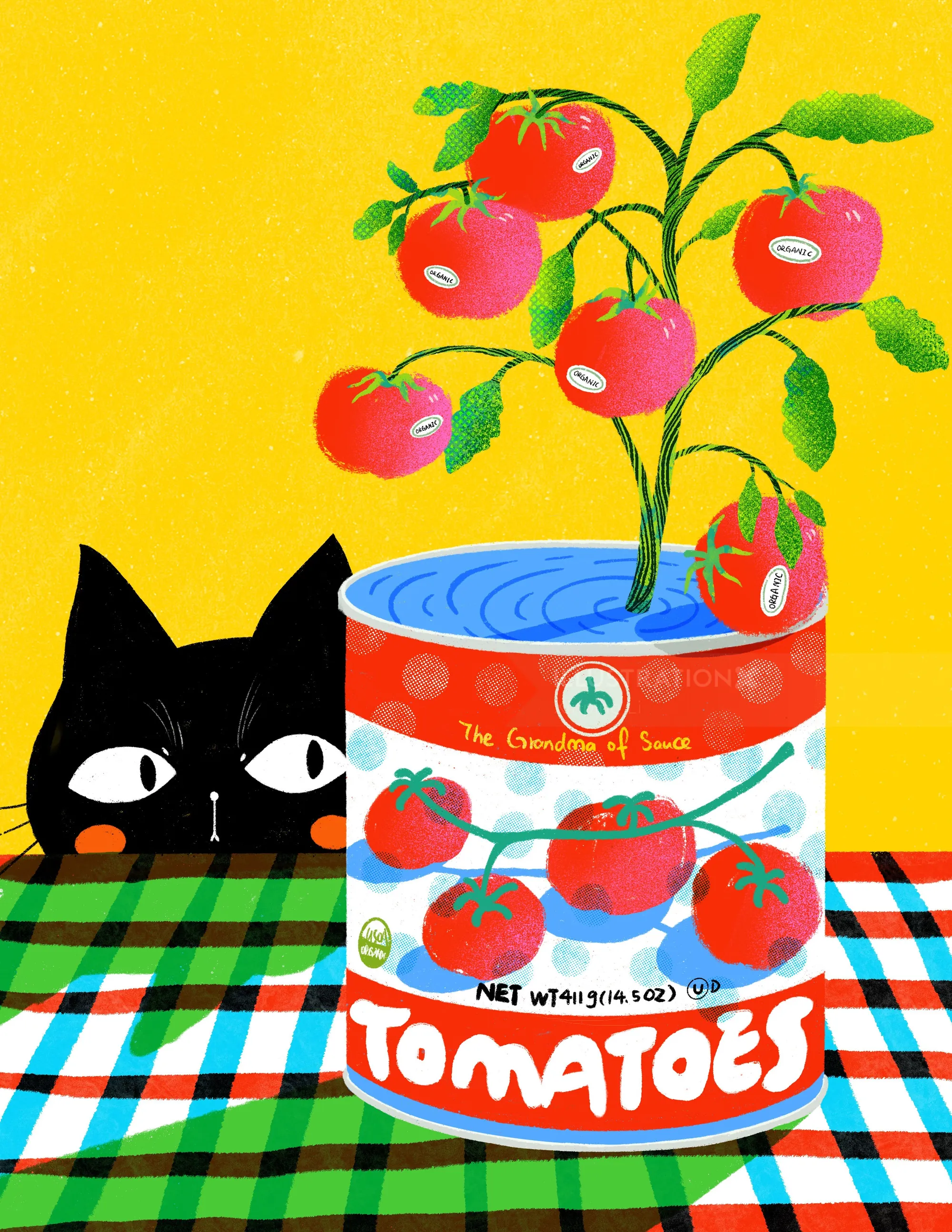 Black cat peeking at tomatoes growing from a can