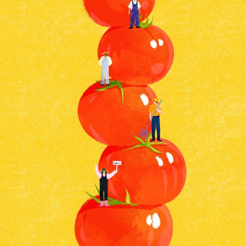 Tiny people climbing large stacked summer tomatoes by Xinping Li