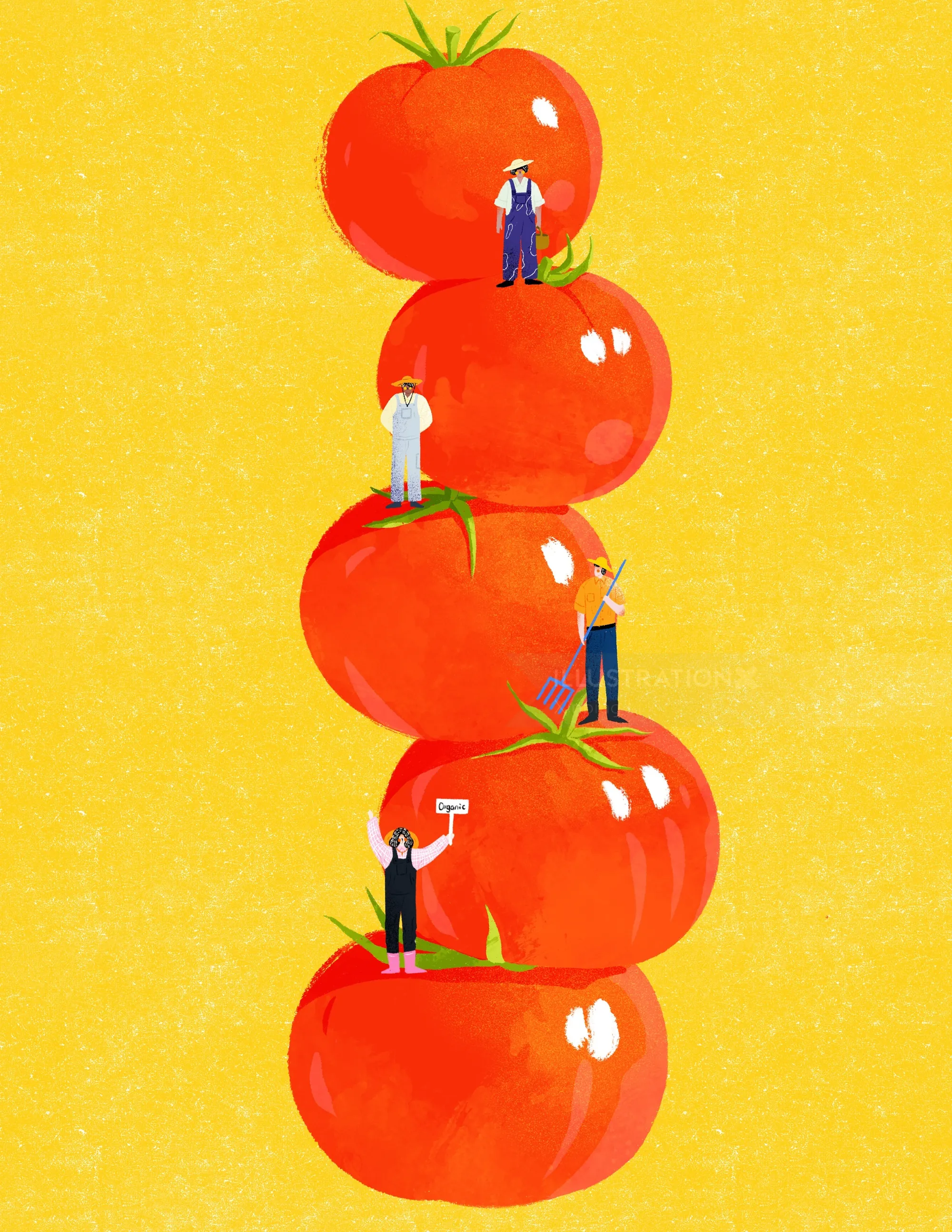 Personas diminutas trepando a grandes pilas de tomates de verano por Xinping Li
