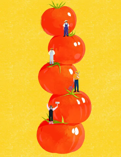 Personas diminutas trepando a grandes pilas de tomates de verano por Xinping Li