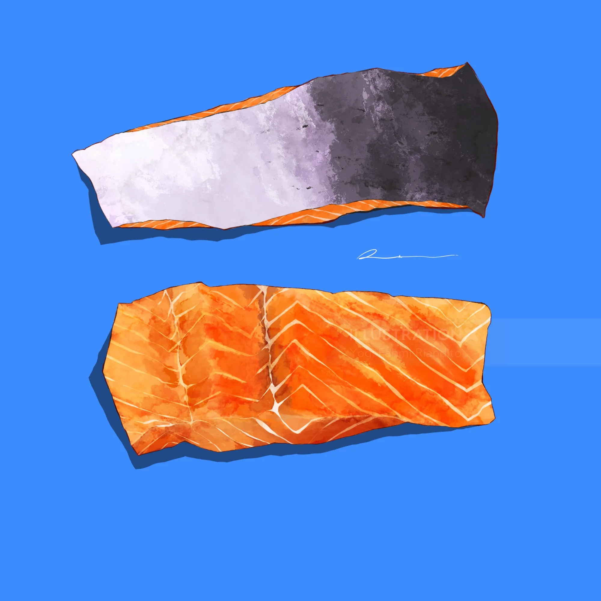 Raw salmon fillet and skin on blue background illustration