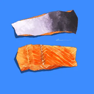 Raw salmon fillet and skin on blue background illustration